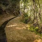 Casa Da Avo Ana Alvao Hébergement de vacances *