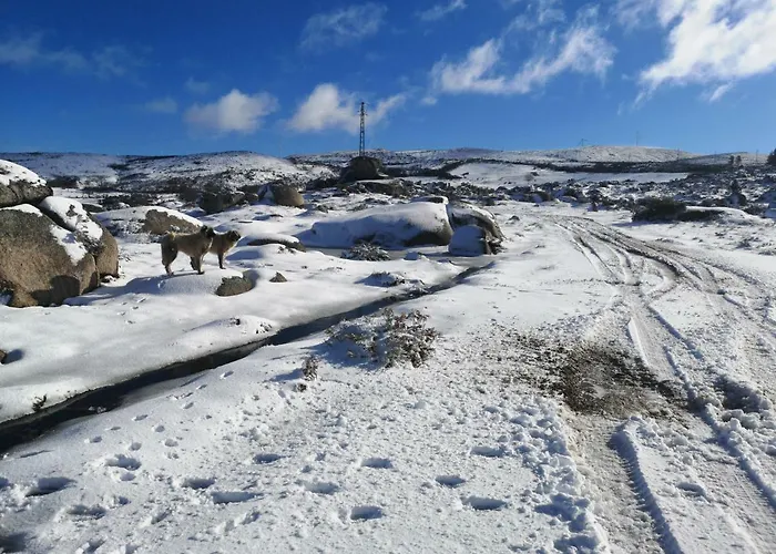 בית נופש Casa Da Avo Ana Alvao Bilho